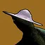 Petals icon