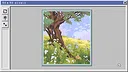 Pixel Restorer：Image Folder 21 Screenshot 0