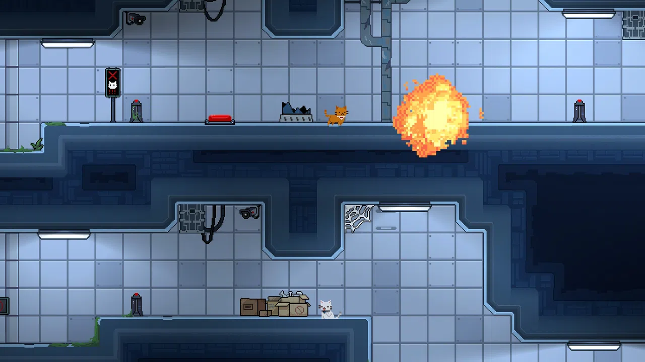 Lab Cats Screenshot 2