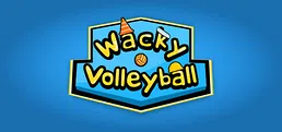 Wacky Volleyball