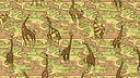 Animal Pattern Screenshot 2