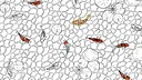 Animal Pattern Screenshot 3