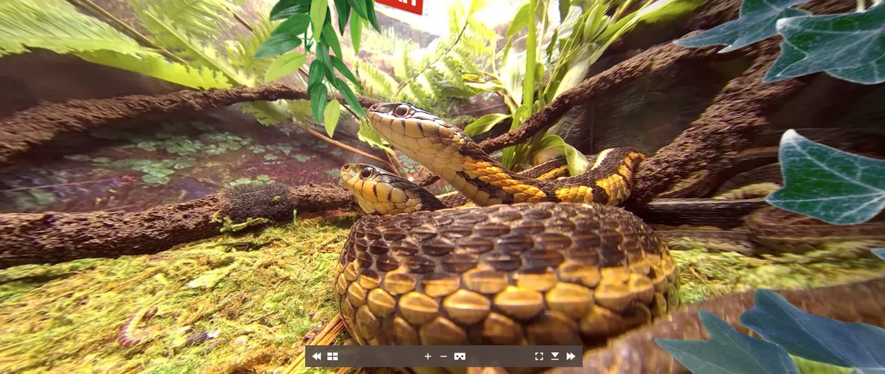 Tony's Creepy Crawly Zoo 2.0 Screenshot 3