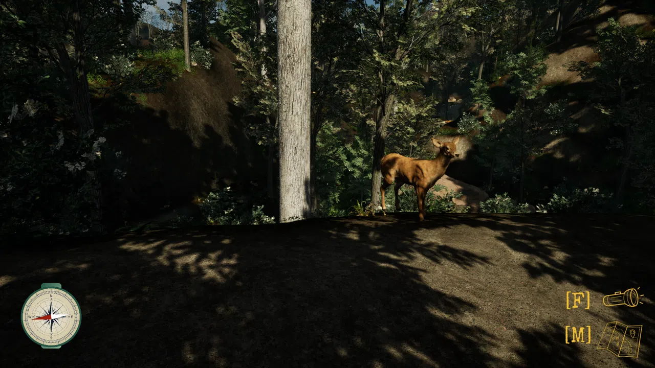 Pack It Out Screenshot 8