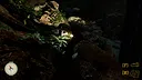 Pack It Out Screenshot 6