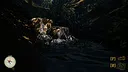 Pack It Out Screenshot 7
