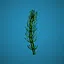 New Plant! icon