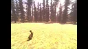 Witch Stories Screenshot 1