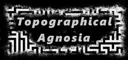 Topographical Agnosia