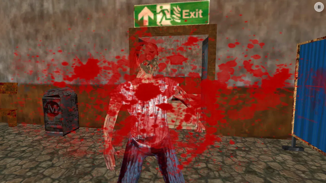 Scary Granny Screenshot 3