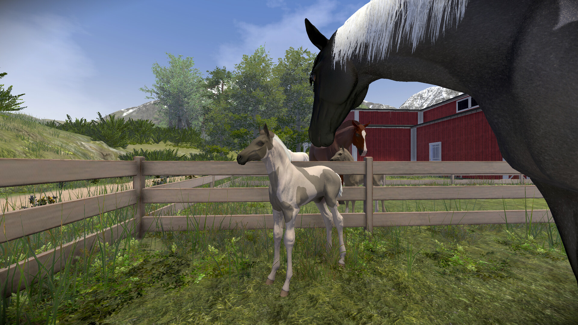 Astride Screenshot 1