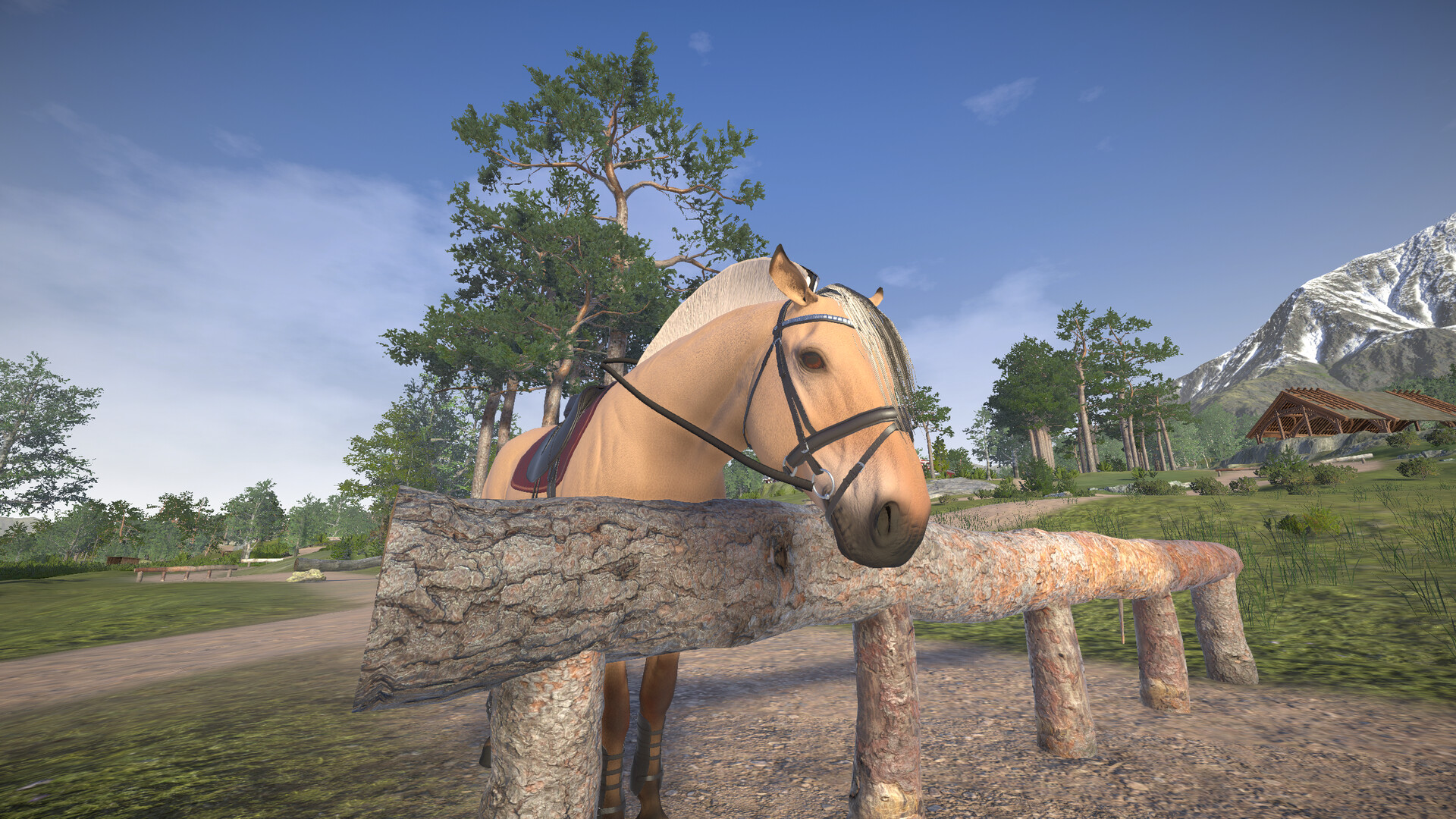 Astride Screenshot 22