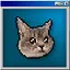Cat.jpeg icon
