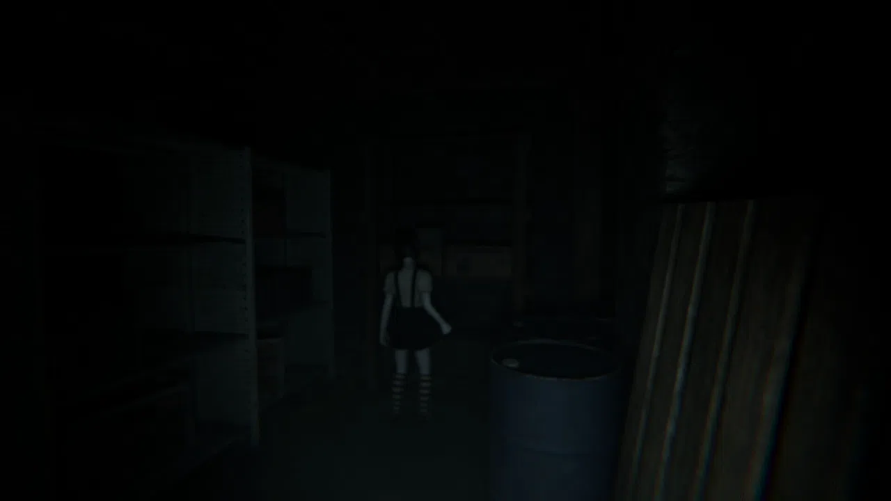 Nightfall House Screenshot 3