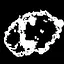 Evolutionary expert icon