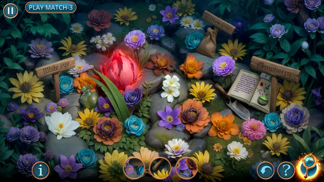 Connected Hearts: Hour of the Witch Collector's Edition Screenshot 3