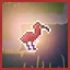 Guaracy icon