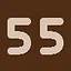 55 icon