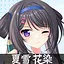 夏花1.5，启动 icon