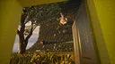 Luminora: Tides Of Colors Screenshot 7