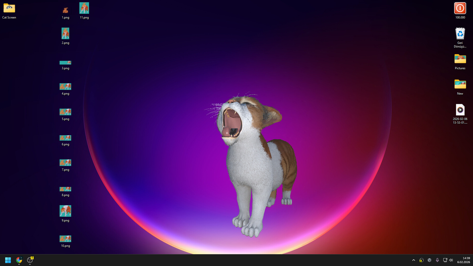 Cat Screen Screenshot 1