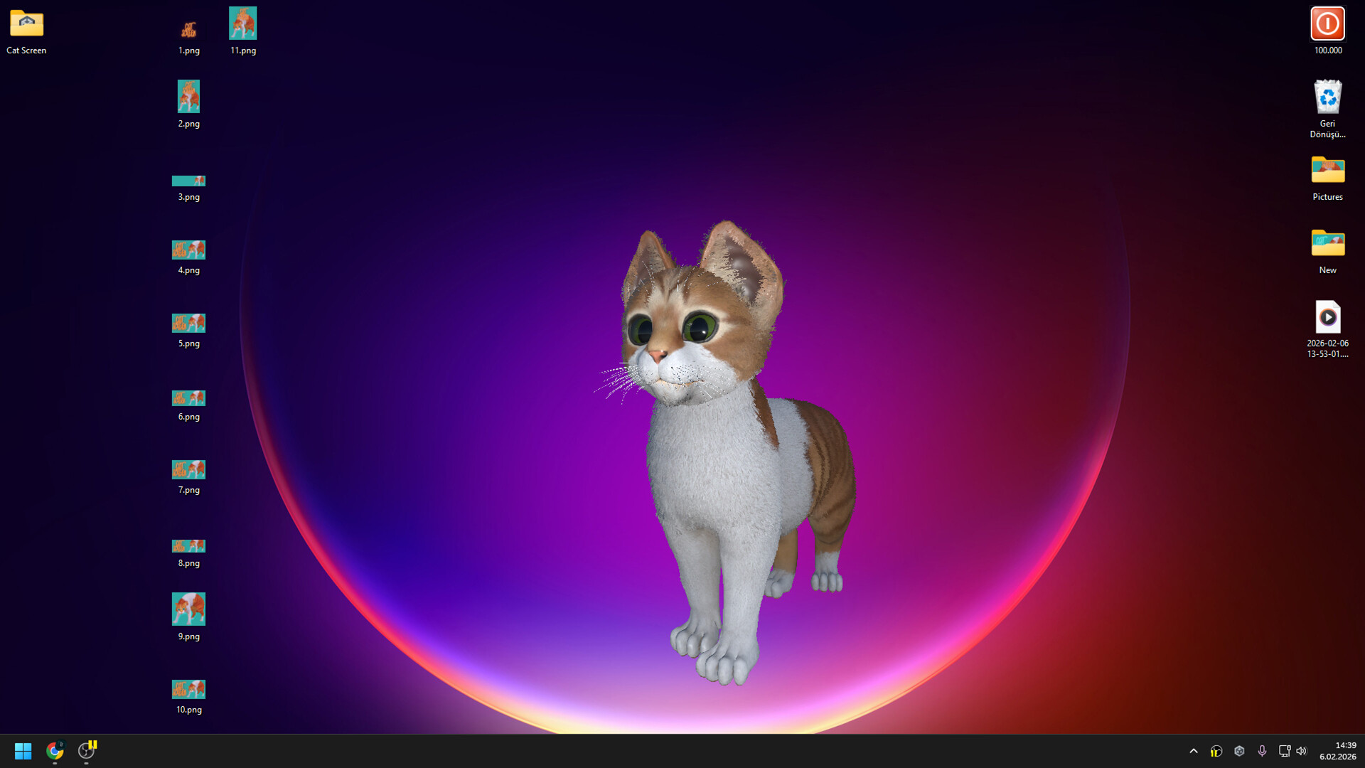 Cat Screen Screenshot 5