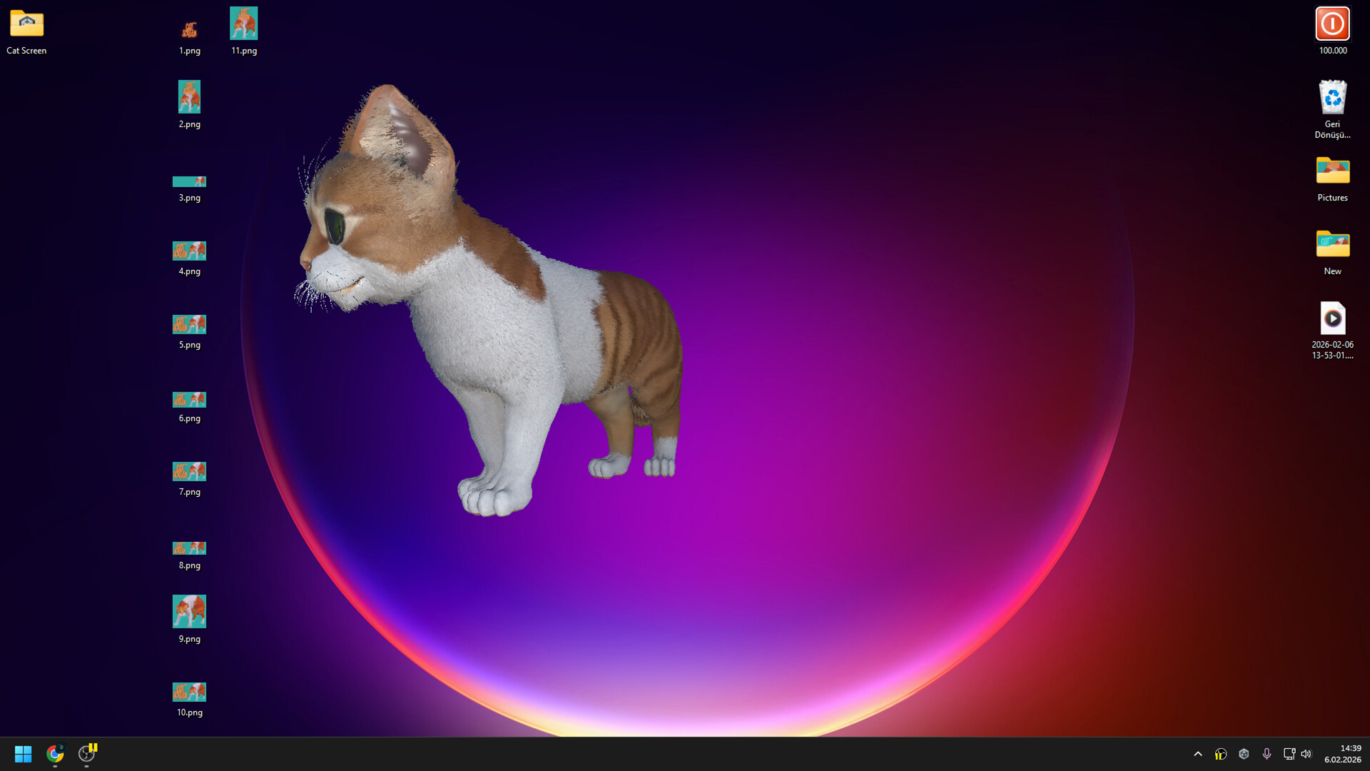 Cat Screen Screenshot 4