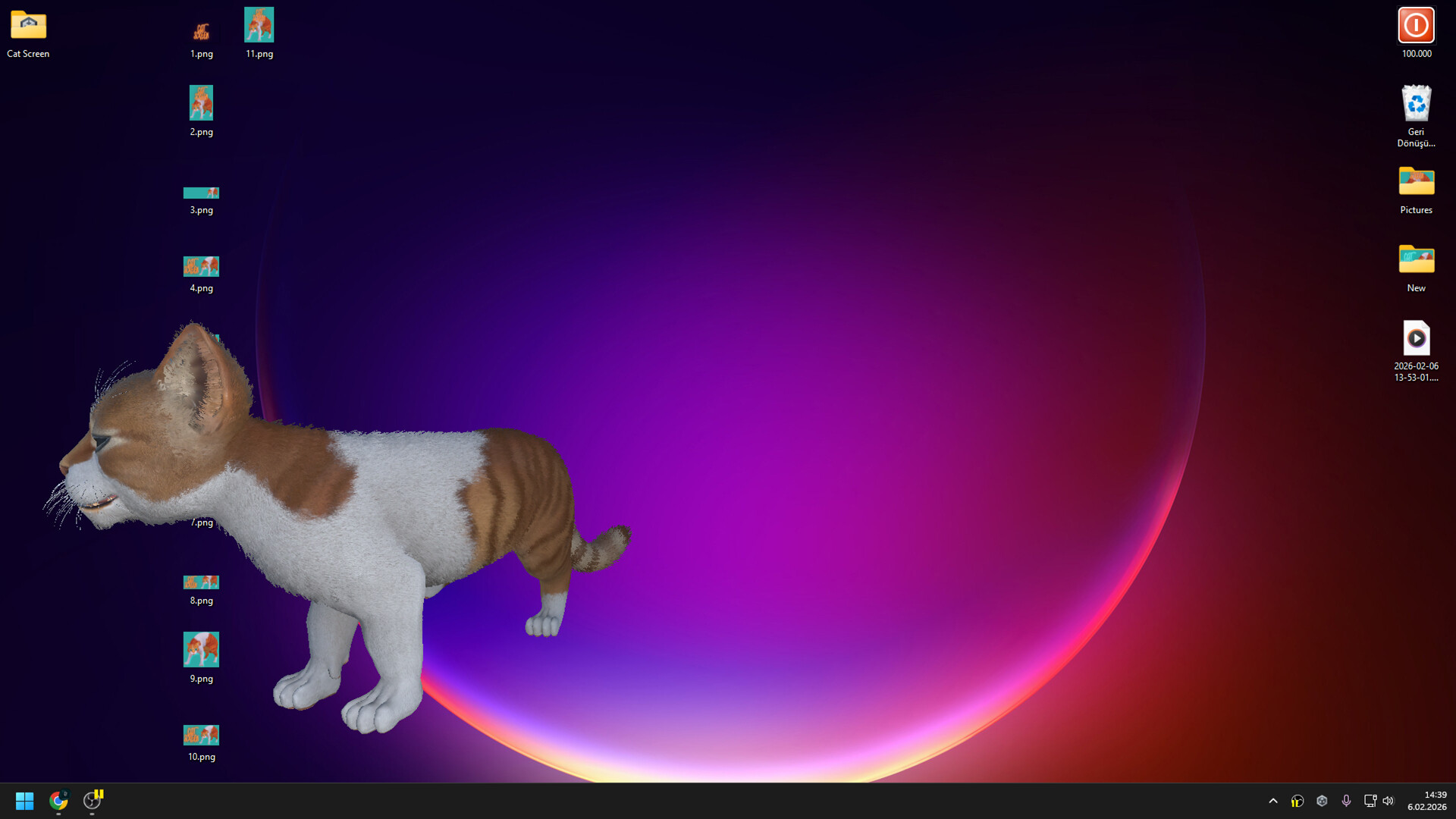 Cat Screen Screenshot 3