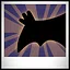 Aerial Photographer icon