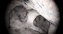 UNDERGROUND Screenshot 2