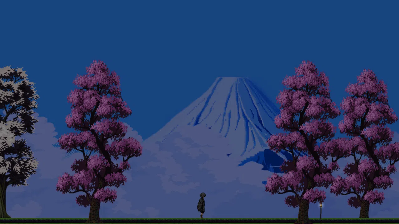 Tsan-shadow ninja Screenshot 3