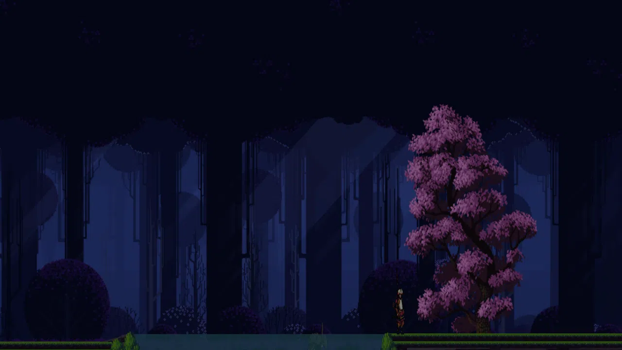 Tsan-shadow ninja Screenshot 1
