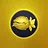 Flytrap Killer