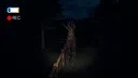 Vicious Cycle Screenshot 1