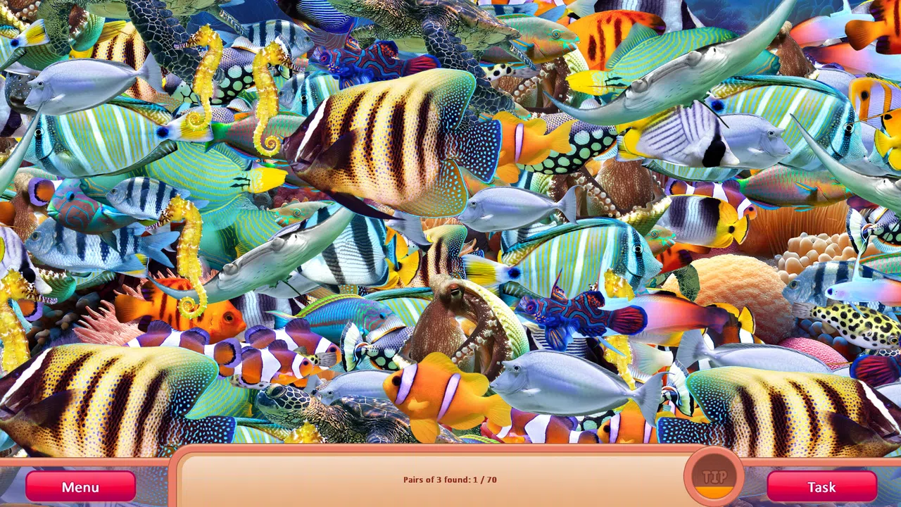 Collect Mania Screenshot 3