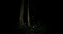 The Child Screenshot 8