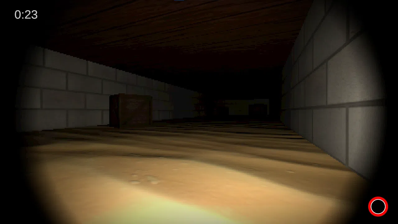 Mazeophobia Screenshot 3