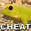 You cheat ! icon