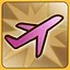 Flight Licence approved icon