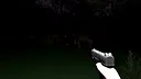 Night Of Evil: Werewolf Screenshot 2