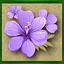 Floral Faith icon