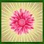 In All My Glory icon
