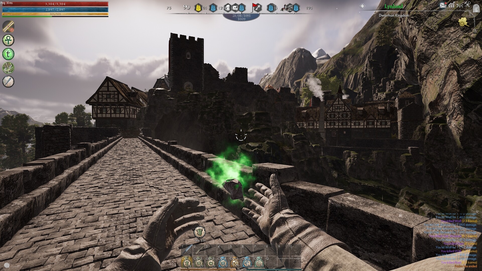 Reign of Guilds Screenshot 15