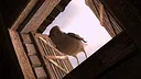 New Antioch Screenshot 14