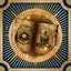 OCCULT NOVICE icon