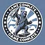 Bear Force One icon