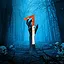 Dark Shadows icon