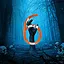 Full Backup icon