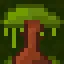 Through the Lush Green icon