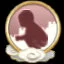困于边城 icon